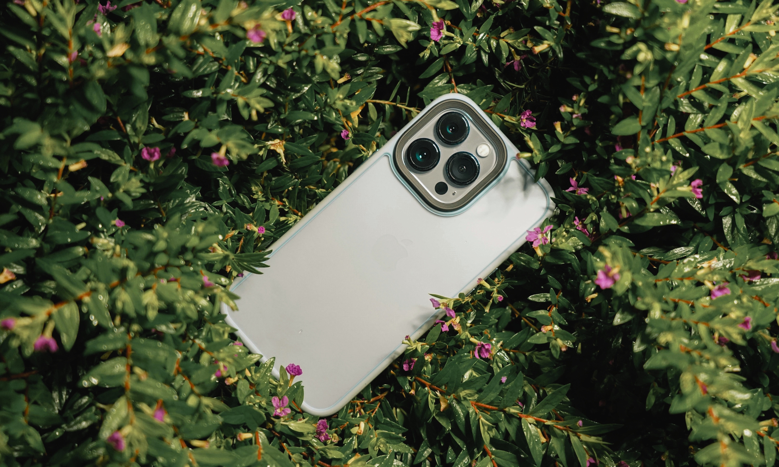 Leg de zomer vast met een refurbished iPhone
